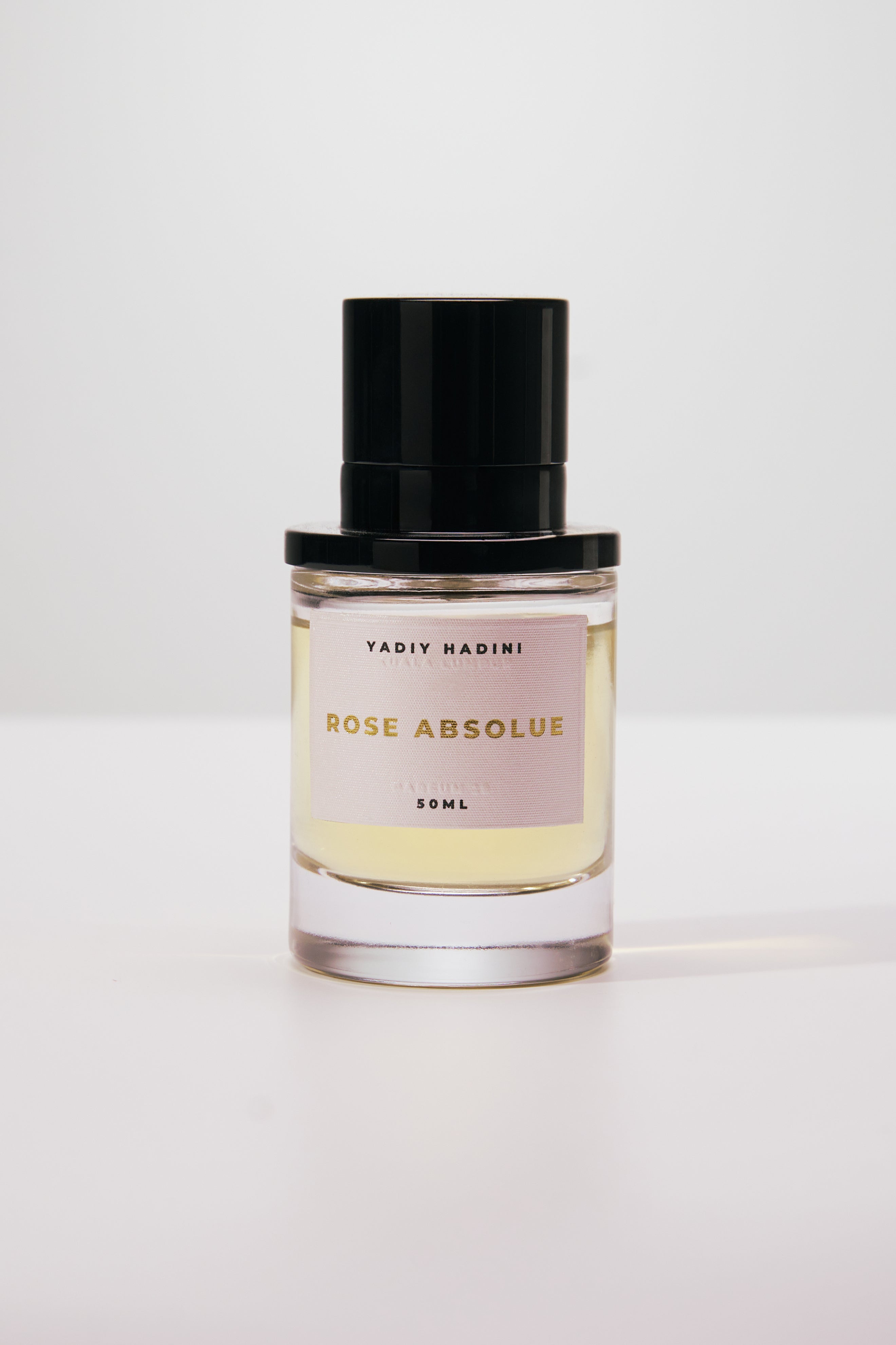 Rose Absolue ( 2025 )