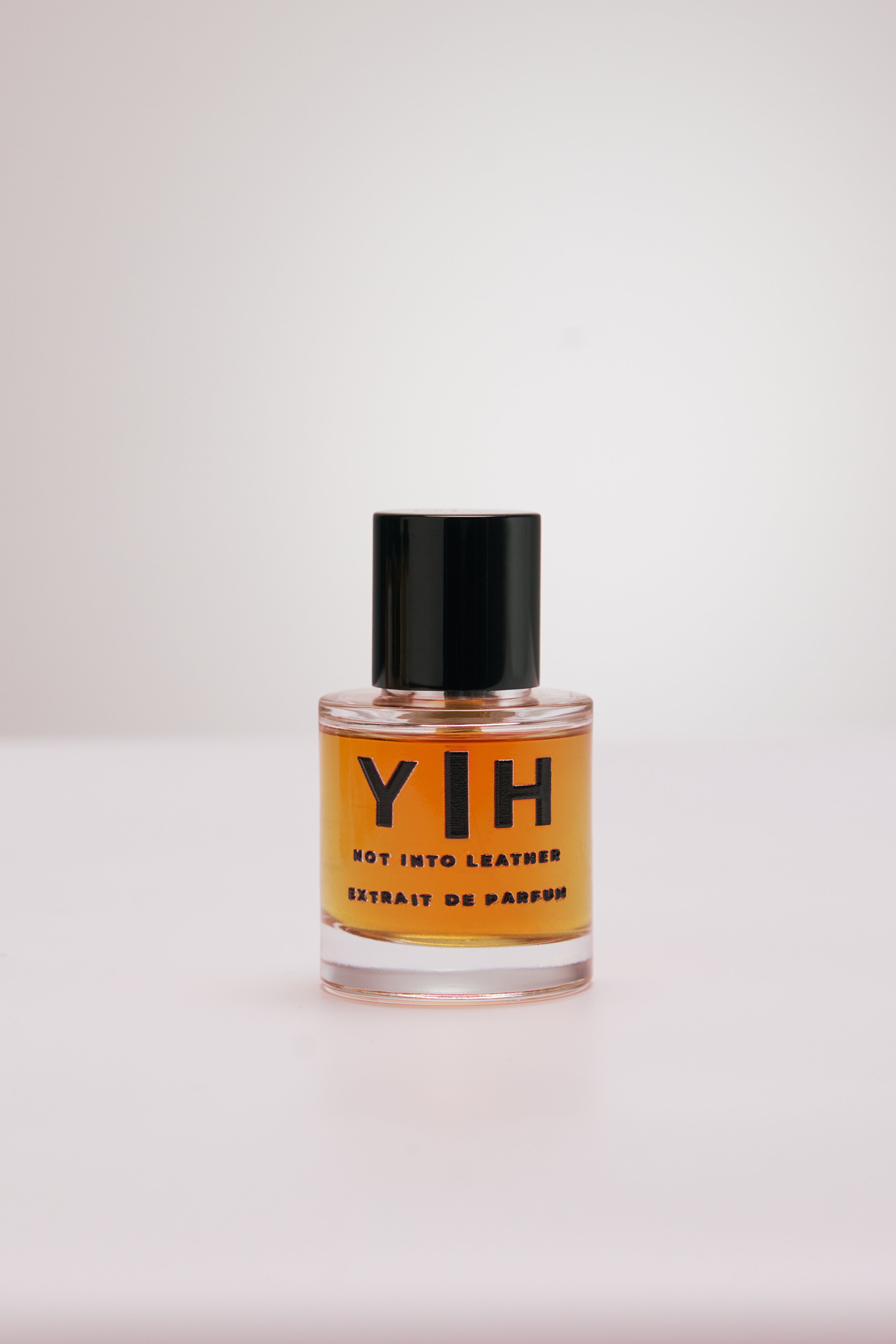 Not Into Leather ( 2024 )